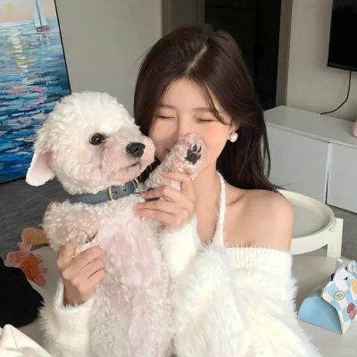 有言在仙 海报