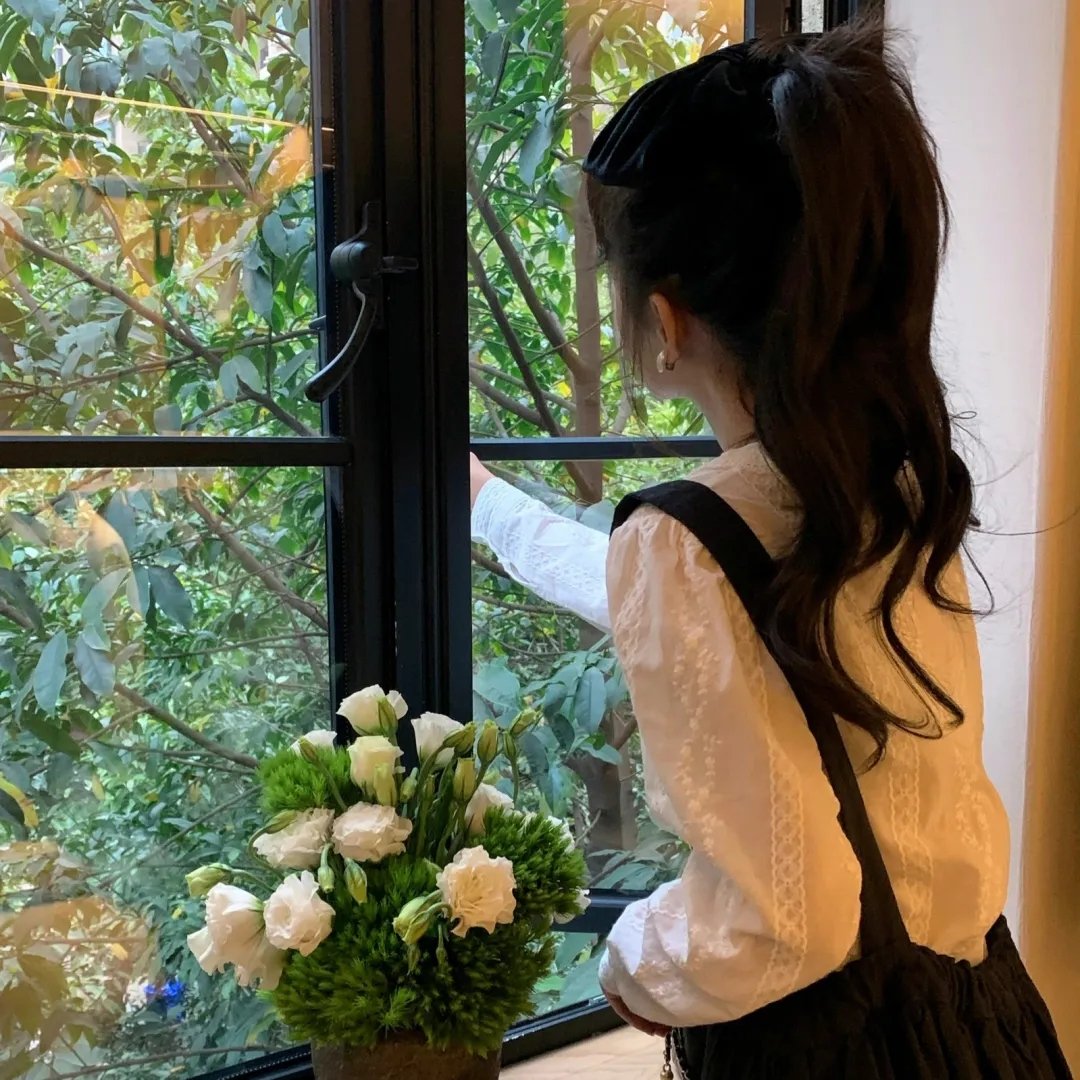 立花登青春备忘录 海报
